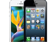  Apple 蘋果 iPhone 5（16G）3G（GSM/WCDMA）