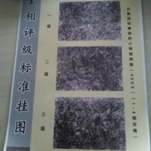 重載齒輪金相評級標(biāo)準(zhǔn)掛圖